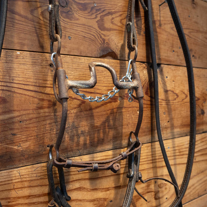 Gary Darnall Port Bridle Rig