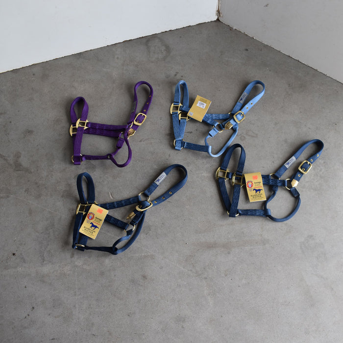 NEW Hamilton Average Halters Set of 4 Sale Barn Teskey's