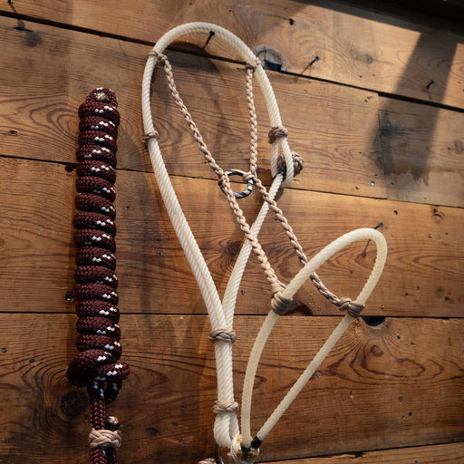 Massie Handmade Argentine Halter w/Teskey's Hardware Tack - Training Massie Western Creations