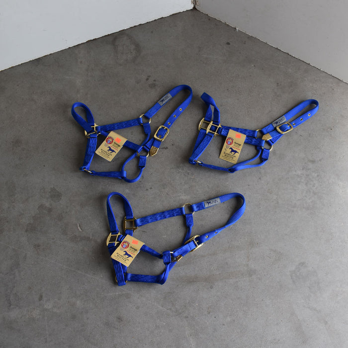 NEW Hamilton Average Halters Set of 3 Sale Barn Teskey's