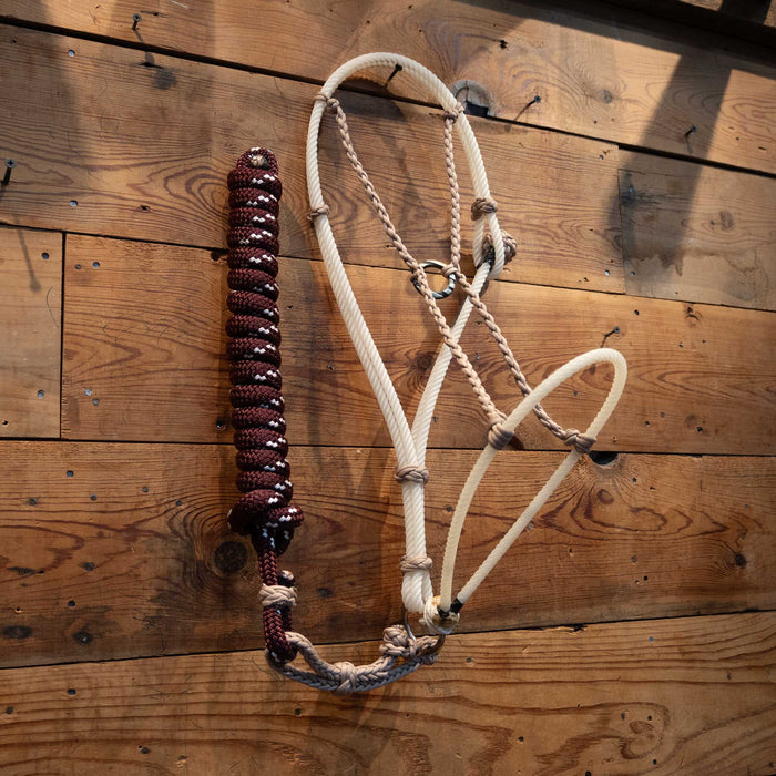 Massie Handmade Argentine Halter w/Teskey's Hardware Tack - Training Massie Western Creations