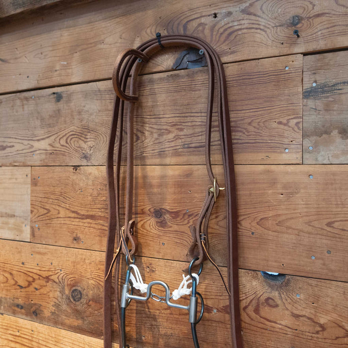 Pat Stevens Port Bit Bridle Rig