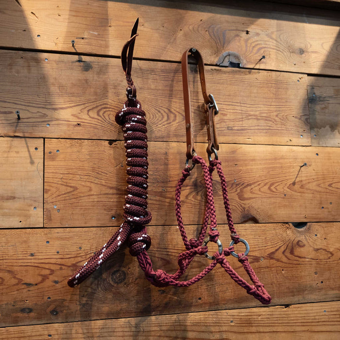 Massie Braided Halter w/Teskey's Hardware Tack - Training Massie Western Creations