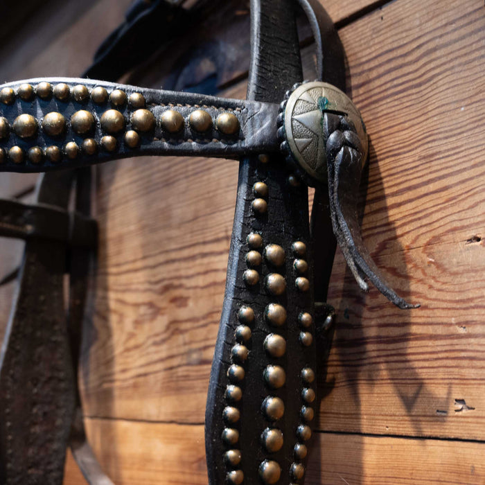 Stunning Vintage Dotted Bridle Rig w/Cavesson & Romel Reins Collectibles MISC