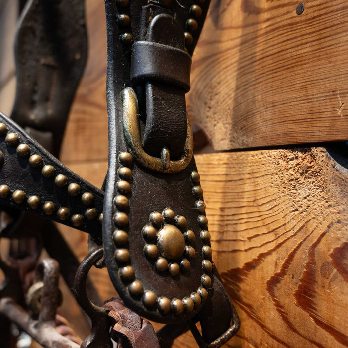 Stunning Vintage Dotted Bridle Rig w/Cavesson & Romel Reins Collectibles MISC