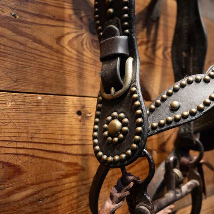 Stunning Vintage Dotted Bridle Rig w/Cavesson & Romel Reins Collectibles MISC