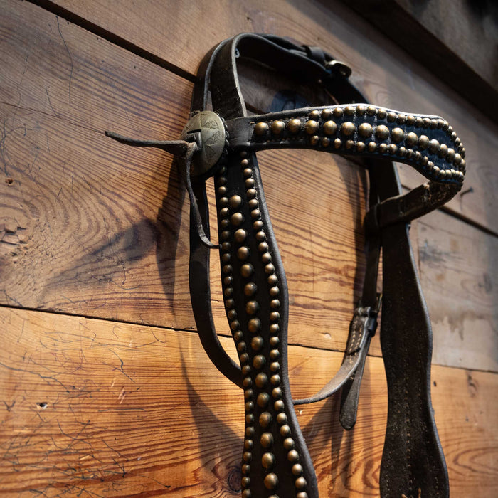 Stunning Vintage Dotted Bridle Rig w/Cavesson & Romel Reins Collectibles MISC