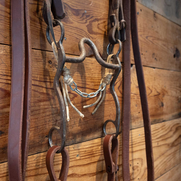 Single Ear Solid Port Bridle Rig