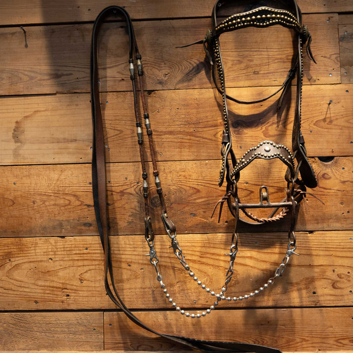 Stunning Vintage Dotted Bridle Rig w/Cavesson & Romel Reins Collectibles MISC