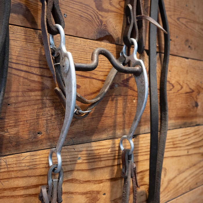 Daryl Davis Port Bridle Rig