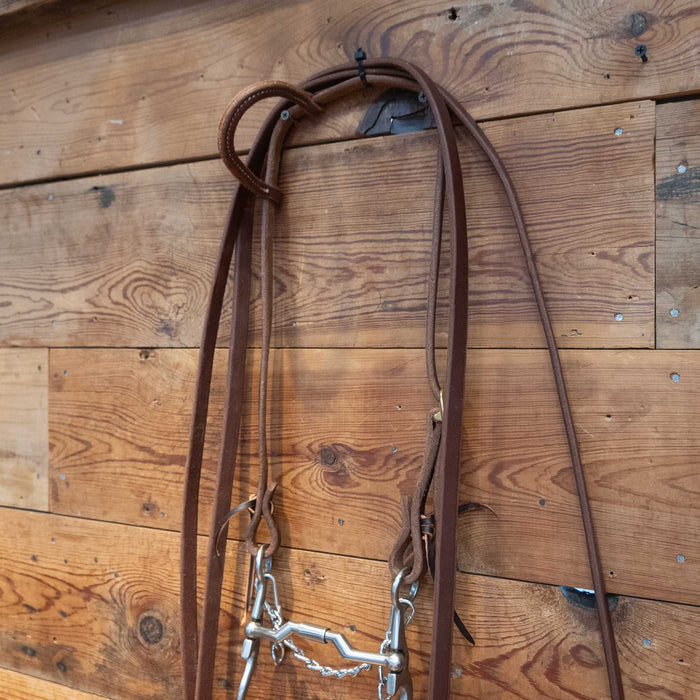 Kerry Kelley Billy Allen Bit Bridle Rig
