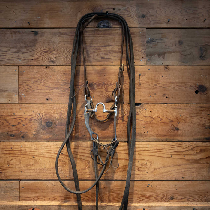 Reinsman Correction Bridle Rig
