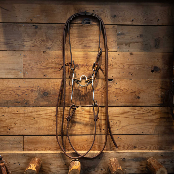 DH Correction w/ Brass Bars Bridle Rig Tack - Rigs MISC