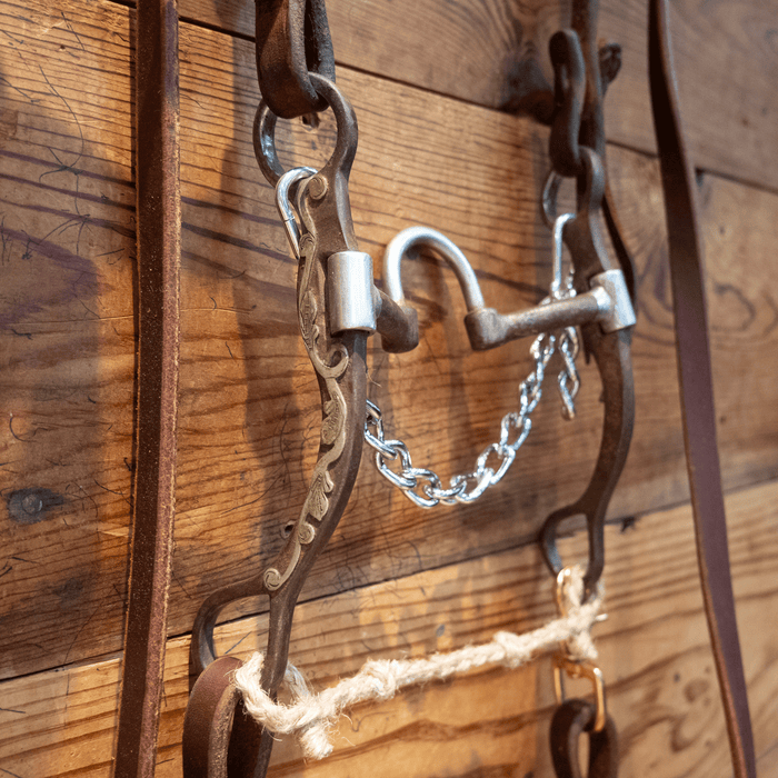 Classic Equine Correction Bit Bridle Rig