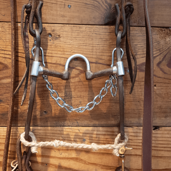 Classic Equine Correction Bit Bridle Rig