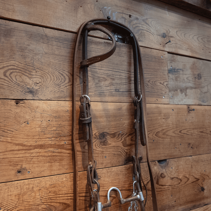 Classic Equine Correction Bit Bridle Rig