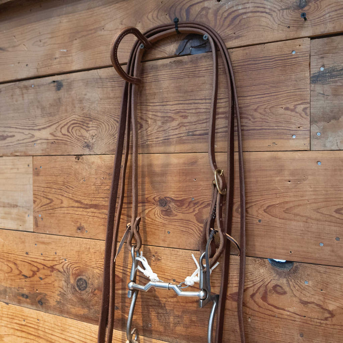 Kerry Kelley Billy Allen Bit Bridle Rig