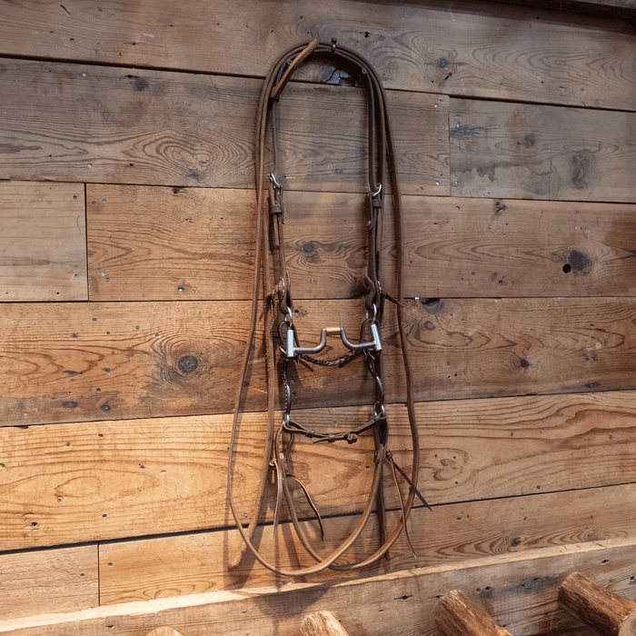 Tom Balding Hinge Port Bit Bridle Rig