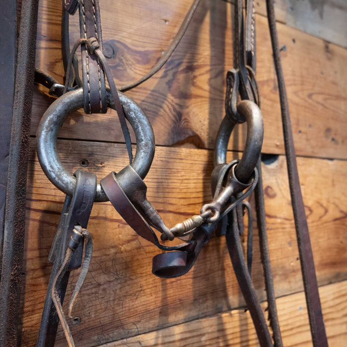 2lb O-Ring Dog Bone Bridle Rig