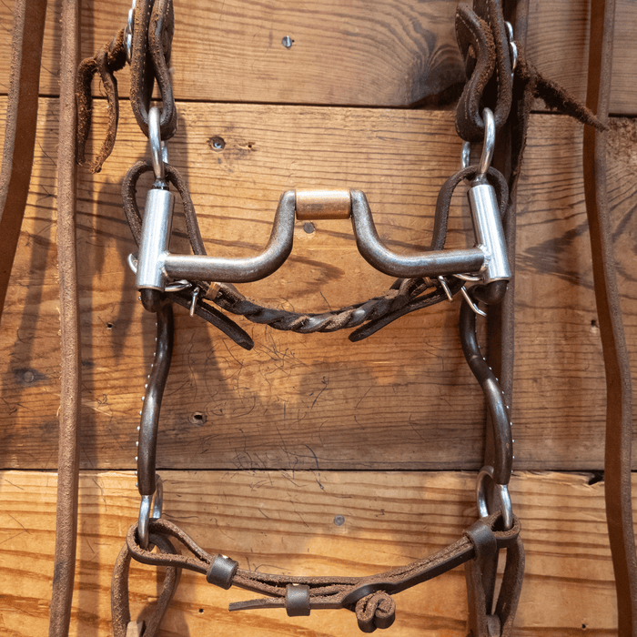 Tom Balding Hinge Port Bit Bridle Rig