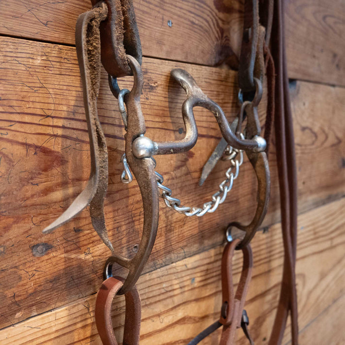 Jim Edwards Correction Bit Bridle Rig