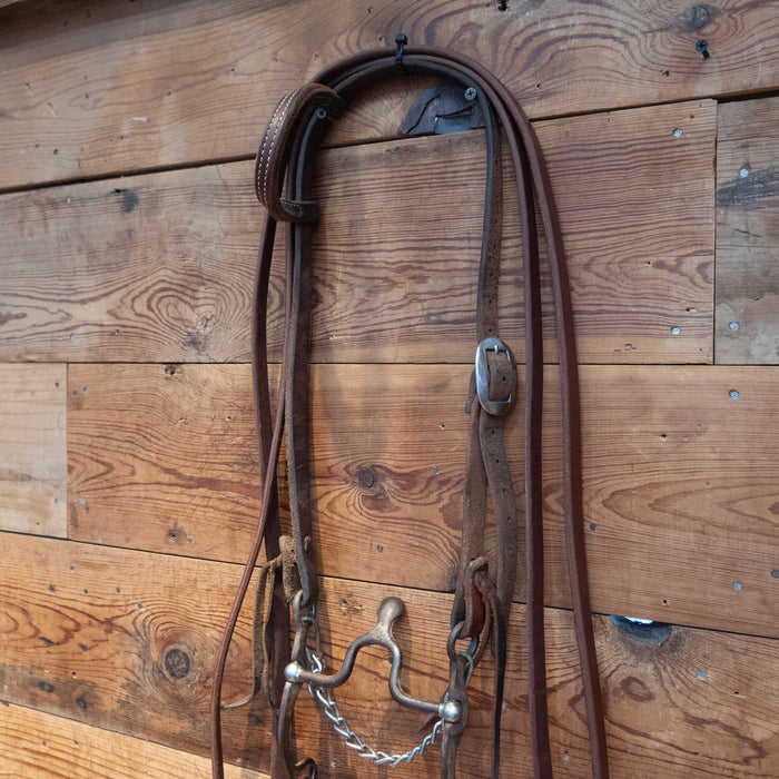 Jim Edwards Correction Bit Bridle Rig