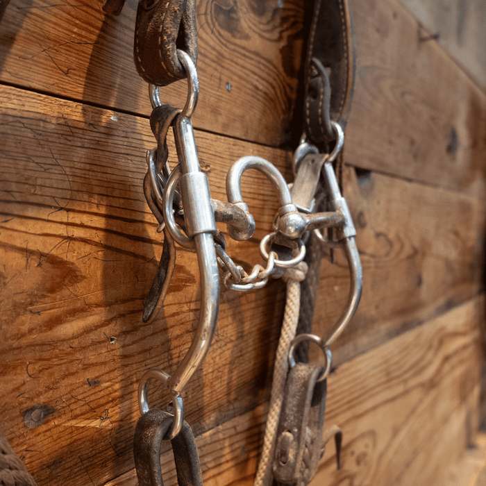 Correction Bit Bridle Rig with String Martingale