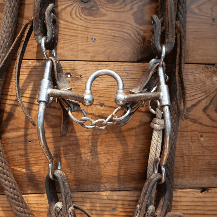 Correction Bit Bridle Rig with String Martingale