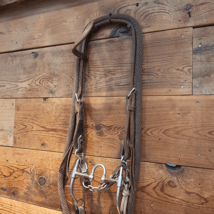 Correction Bit Bridle Rig with String Martingale