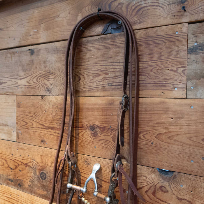 Kerry Kelley Silver Mounted Cathedral Bit Bridle Rig