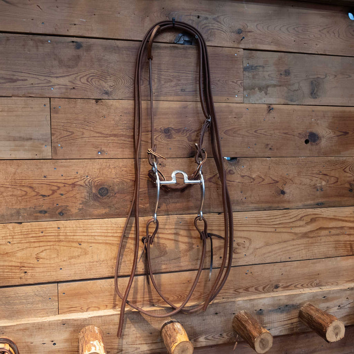 Bill Freeman Mushroom Port Bit Bridle Rig