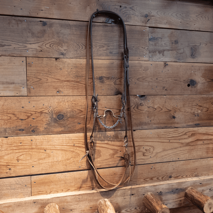 Cowpuncher Ported Chain Bit Bridle Rig
