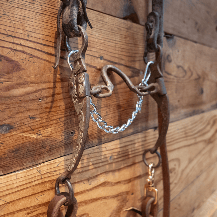 Cowpuncher Ported Chain Bit Bridle Rig