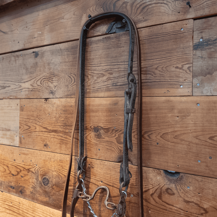 Cowpuncher Ported Chain Bit Bridle Rig
