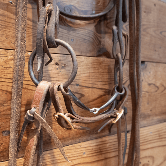O-Ring Snaffle Bit Bridle Rig