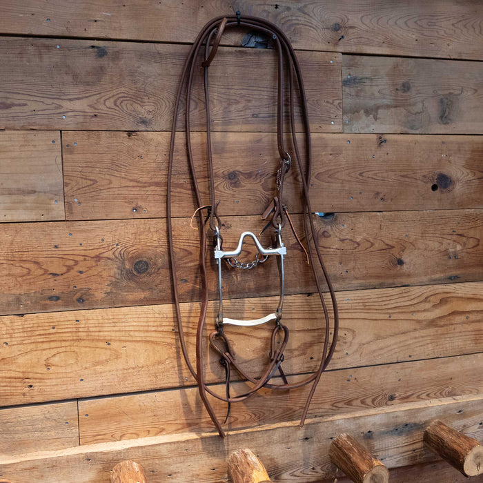 Sleister Port Bit Bridle Rig
