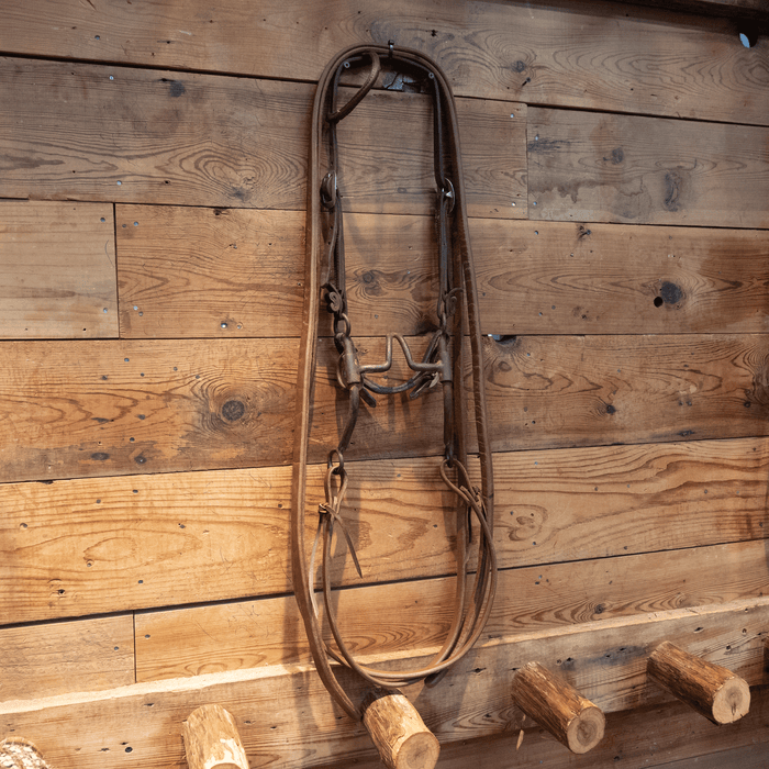 Cathedral Bit Bridle Rig