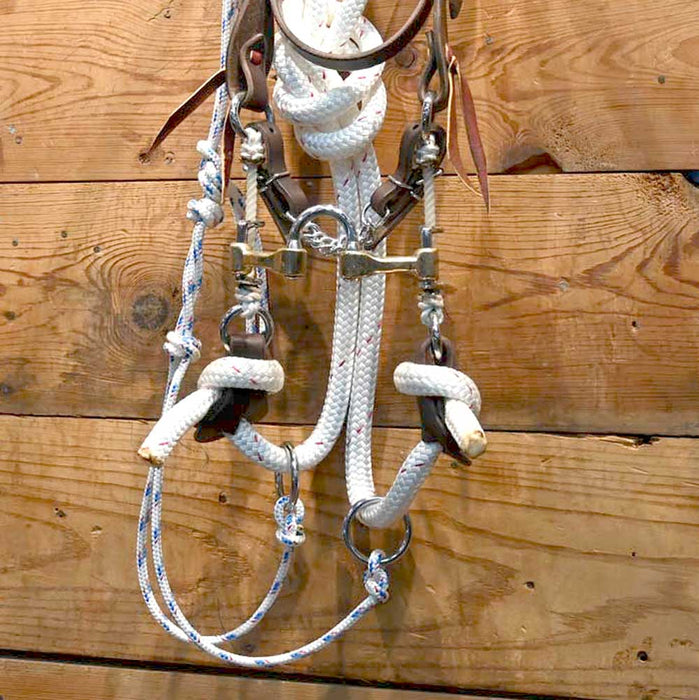 CHS Correction Gag Bridle Rig w/Martingale Tack - Training Cow Horse Supply