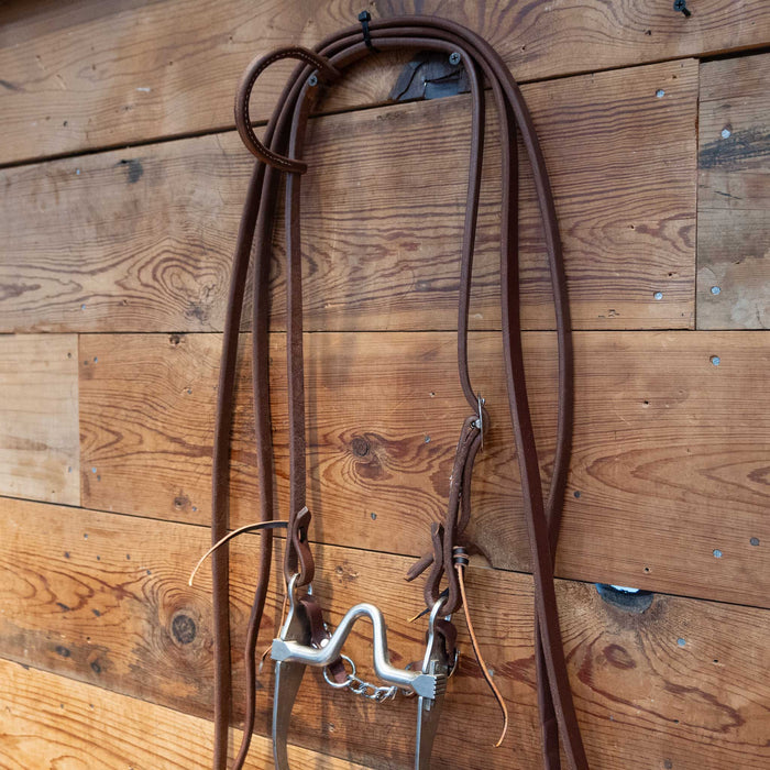 Sleister Port Bit Bridle Rig