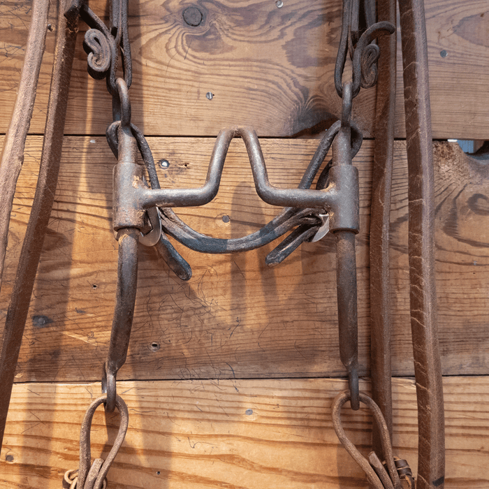 Cathedral Bit Bridle Rig