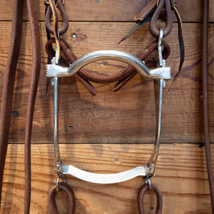 Sleister Port Bit Bridle Rig