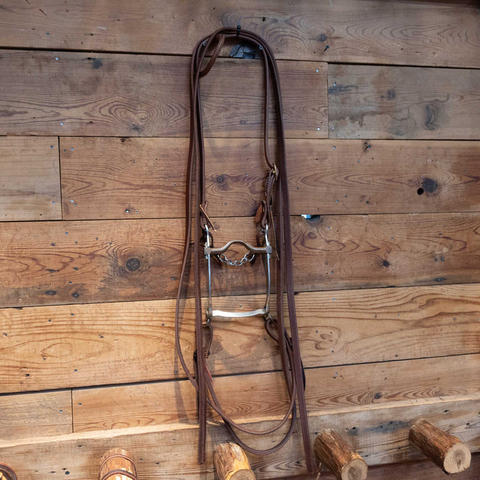 Sleister Copper Port Bit Bridle Rig