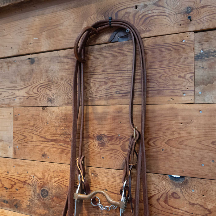 Sleister Copper Port Bit Bridle Rig