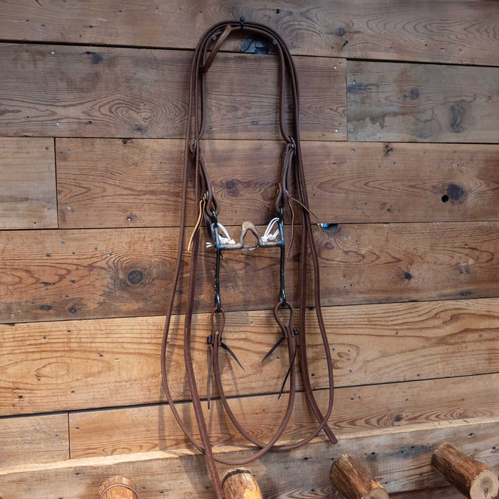 Cathedral Bit Bridle Rig