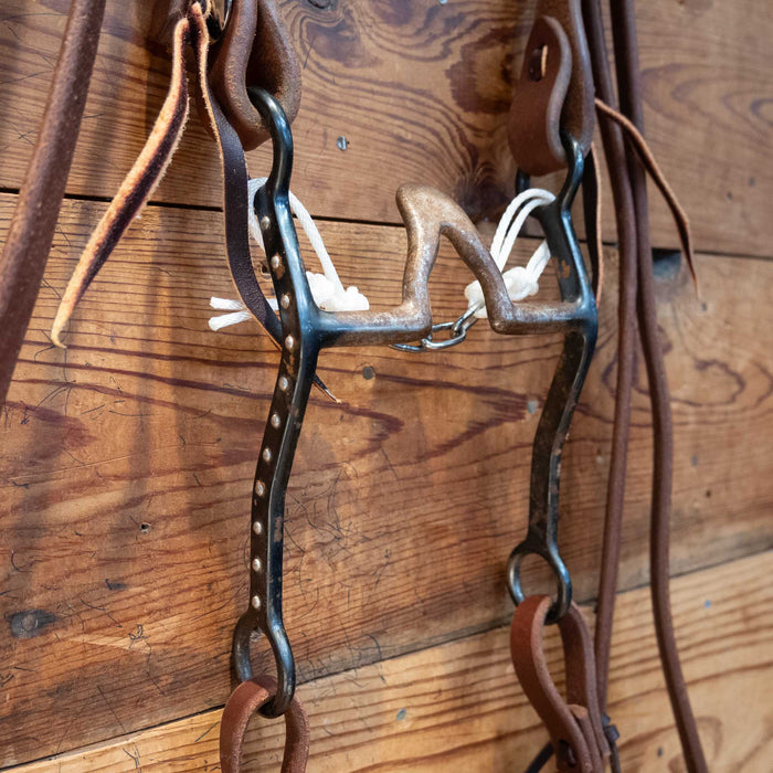 Cathedral Bit Bridle Rig