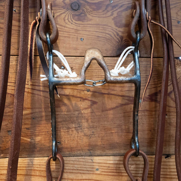 Cathedral Bit Bridle Rig
