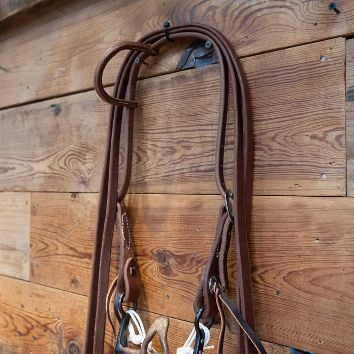 Cathedral Bit Bridle Rig