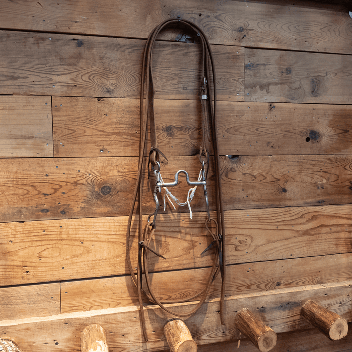 Kerry Kelley Silver Mounted Solid Port Bit Bridle Rig