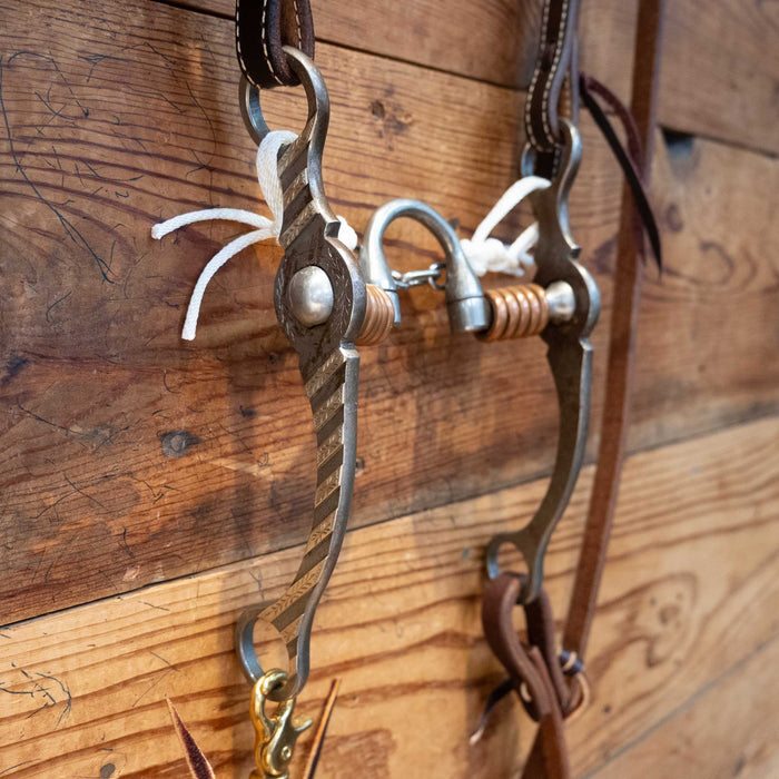 Josh Ownbey Correction Bit Bridle Rig