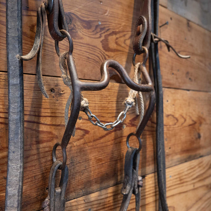 Daryl Davis Port Bridle Rig